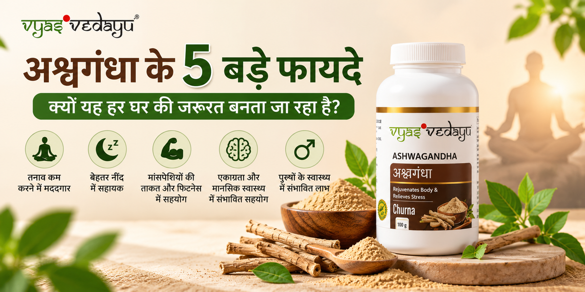 अश्वगंधा के 5 बड़े फायदे: क्यों यह हर घर की जरूरत बनता जा रहा है?