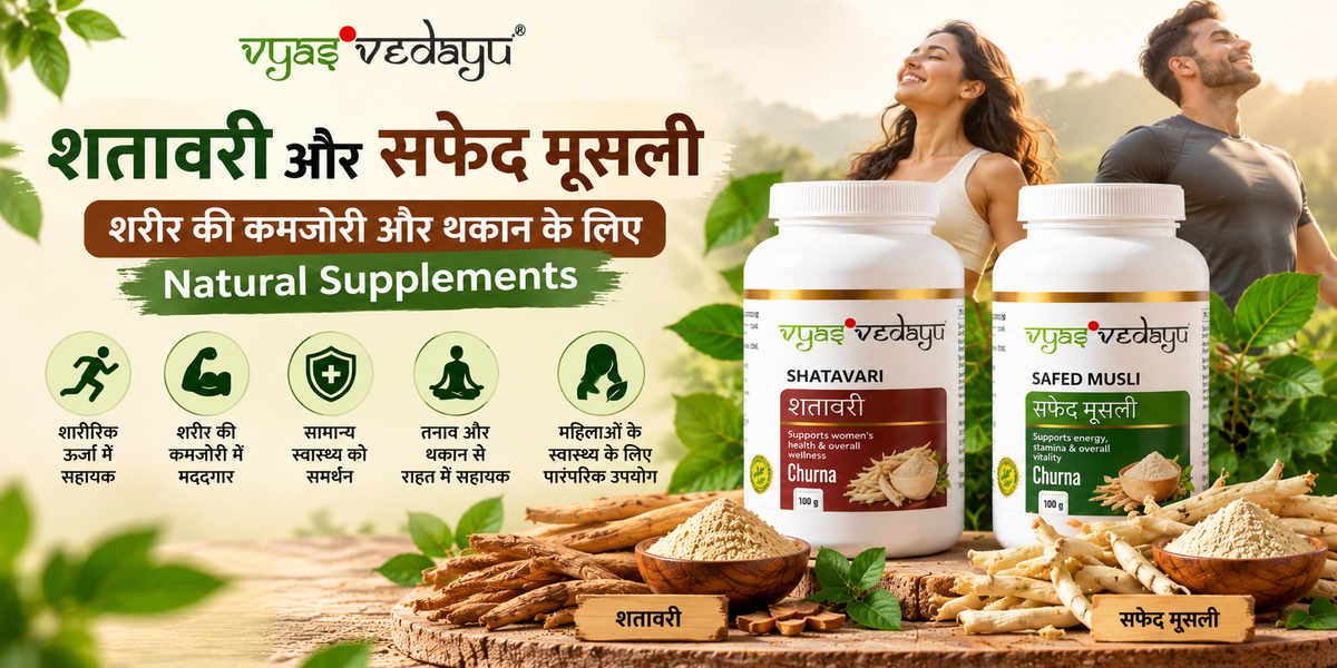 Shatavari aur Safed Musli: शरीर की कमजोरी और थकान के लिए दो प्रसिद्ध आयुर्वेदिक जड़ी-बूटियां