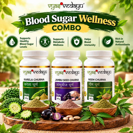 VyasVedAyu Blood Sugar Wellness Combo | Karela, Jamun Seed & Neem Churna | Traditional Ayurvedic Herbal Care | Pack of 3 (100g Each)