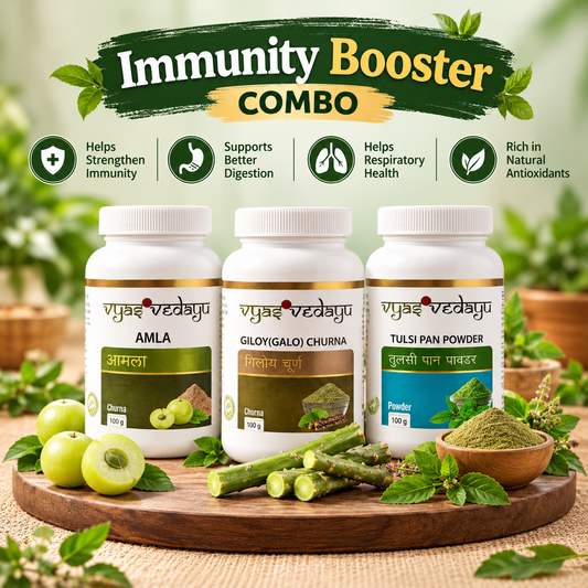 VyasVedAyu Immunity Booster Combo | Amla, Giloy & Tulsi Pan Powder | Natural Ayurvedic Wellness | Pack of 3 (100g Each)